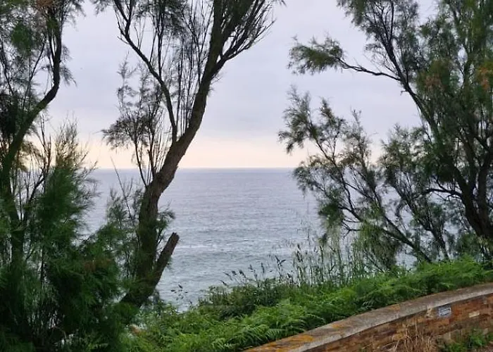 Bellavista *